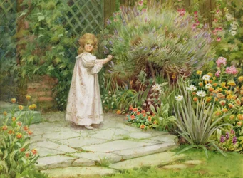 Mi Jardín