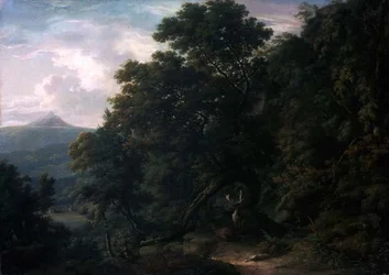 Vista de Powerscourt Demesne