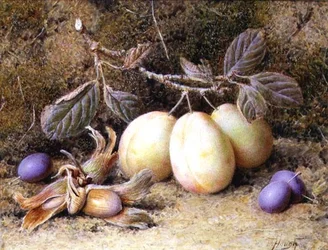 Naturaleza Muerta con Ciruelas y Nueces