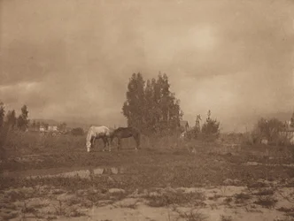 Paisaje de Pasadena