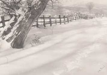 Sendero en la nieve