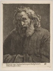 Viejo con una Larga Barba, 1761