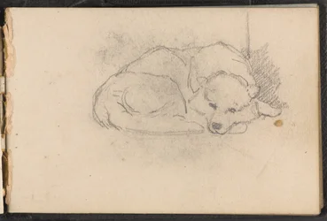 Boceto de un perro durmiendo, 1879 circa