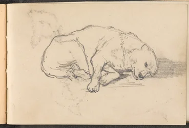 Boceto de un perro durmiendo, 1879 circa