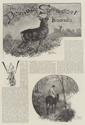Los sabuesos de Devon y Somerset