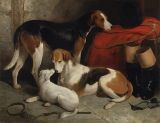 Un par de sabuesos de Lord Henry Bentinck con un terrier