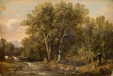 Paisaje Boscoso