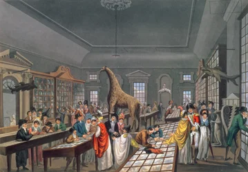 Interior del Salón Egipcio, Piccadilly, grabado por el artista, c.1815-25