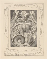 Libro de Job, Lámina 15, Behemoth y Leviatán