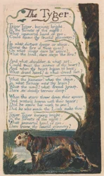 Canciones de la inocencia y de la experiencia, lámina 42, "El tigre" (Bentley 42)