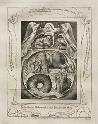 El Libro de Job: Pl. 15, He aquí ahora Behemot que hice contigo