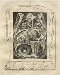 El Libro de Job: Pl. 15, He aquí ahora Behemoth que hice contigo, 1825