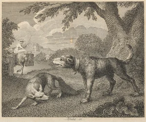 El perro y el zorro