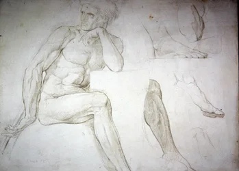 Estudios de desnudo masculino