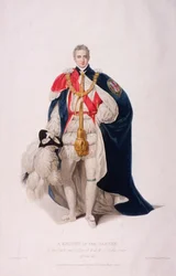 Caballero de la Jarretera en traje ceremonial
