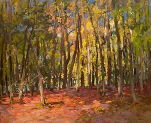 El Bosque de las Brujas