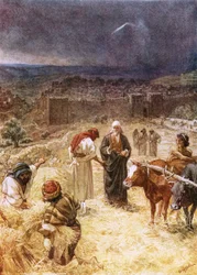 El rey David comprando la era