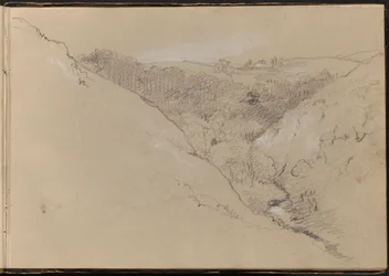 Paisaje con colinas y bosque