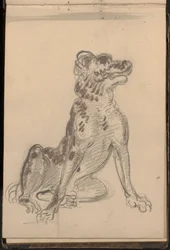 Retrato de un perro