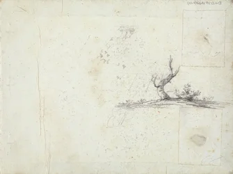 interior de la portada: Bosquejo de un árbol (invertido)