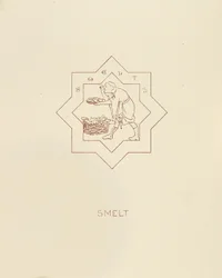 Peces, 1878