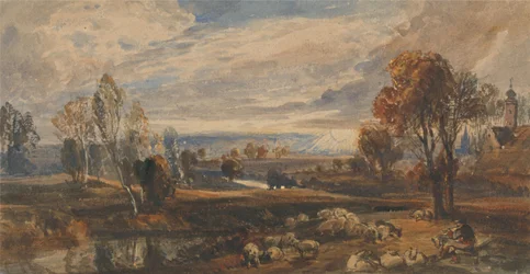 Paisaje con ovejas