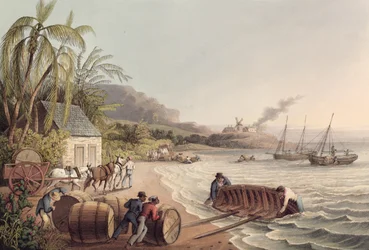 Carga de barriles de ron y azúcar, Antigua