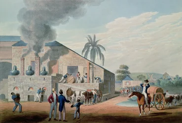 Esclavos trabajando en la destilería de ron de Antigua