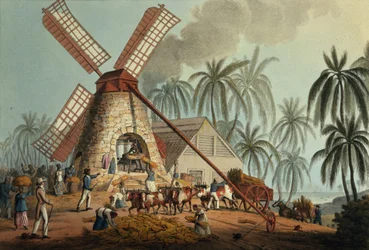 La trituradora exprime el jugo de la caña, Antigua