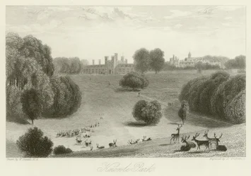 Parque Knowle