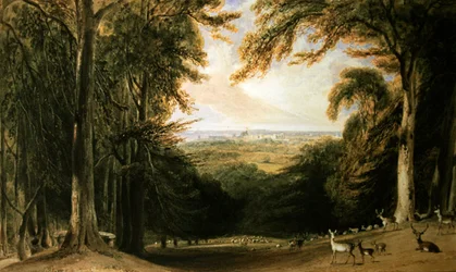 Paisaje boscoso, Windsor