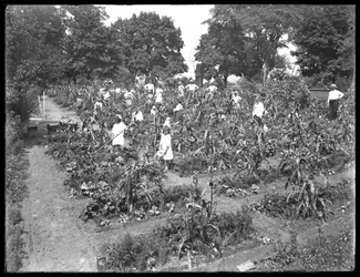 Niños trabajando en el jardín escolar de Isham Park, Ciudad de Nueva York, 16 de agosto de 1915
