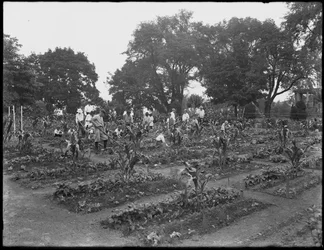 Niños trabajando en el jardín de la escuela en Isham Park, Nueva York, 5 de agosto de 1914