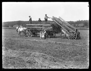 Trabajadores agrícolas cargando heno en un carro tirado por caballos mientras tres niños observan, Granja McCready, Condado de Crawford, Pensilvania, c.1913