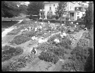 Vista aérea de niños trabajando en el jardín en la sucursal Poppenhusen de la Biblioteca Pública del Distrito de Queens, 14 de agosto de 1915