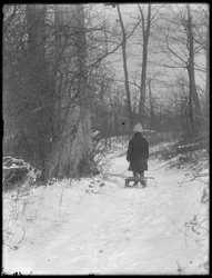 William Gray Hassler tirando de su trineo por los bosques nevados, c.1912