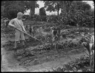 William Gray Hassler trabajando en el jardín de la escuela en Isham Park, Nueva York, 5 de agosto de 1914