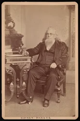 Retrato de Sidney Breese 1800-1878, antes de 1878