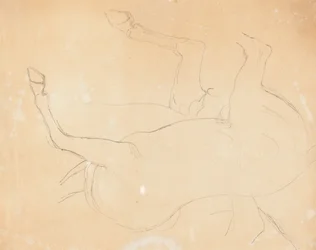 Estudio de un caballo (reverso)