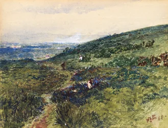 Escena costera