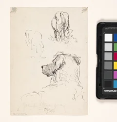 Perro (anverso), perro y vaca (reverso) (pluma y tinta sobre papel crema)