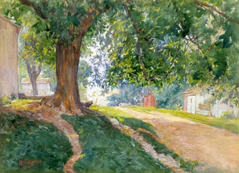 El olmo constitucional (acuarela y gouache sobre papel blanquecino)