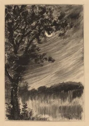 Paisaje a la luz de la luna con árbol a la izquierda