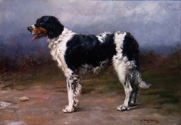 Perro de caza en un paisaje