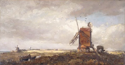 Molinos de viento