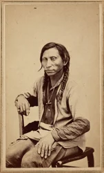 Lobo gris,1860s (foto)