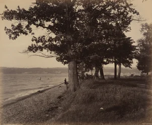 Lago Cayuga, Sheldrake