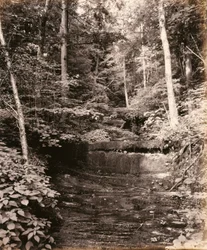 Lago Owasco, Cascade Glen, para el ferrocarril de Lehigh Valley
