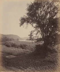 Pintoresco Susquehanna, cerca de Laceyville