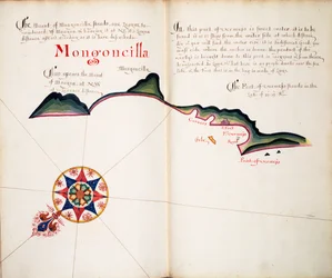 Mongoncilla